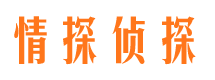 裕安市侦探公司